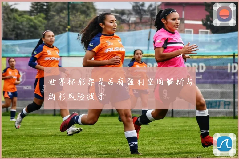 世界杯彩票是否有盈利空间解析与购彩风险提示