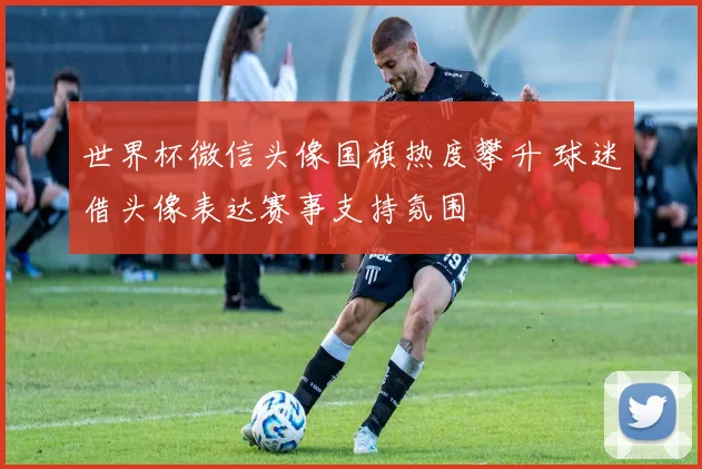 世界杯微信头像国旗热度攀升 球迷借头像表达赛事支持氛围