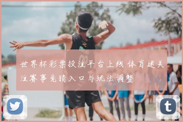 世界杯彩票投注平台上线 体育迷关注赛事竞猜入口与玩法调整